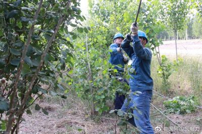 高溫工作補(bǔ)水不停 架線(xiàn)強(qiáng)網(wǎng)安渡夏峰