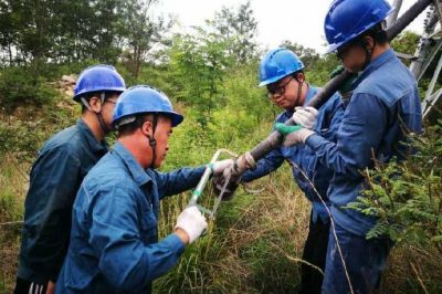 雷擊傷線路 搶修忙復電