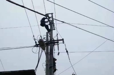 更換絕緣導(dǎo)線，拆除舊電桿，心里電桿，有效降低線路損耗