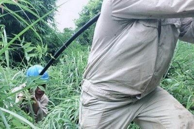 南川區(qū)供電公司緊急搶修被雷擊斷落在路上的10千伏鋒秧線8-10號桿A、C相