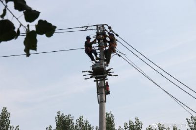 東阿縣供電公司新架設(shè)電桿5基、絕緣導(dǎo)線1000米