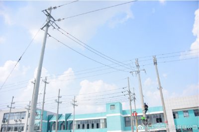 帶電作業(yè)機(jī)器人成功在帶電主線(xiàn)未剝皮的情況下進(jìn)行引線(xiàn)搭接作業(yè)
