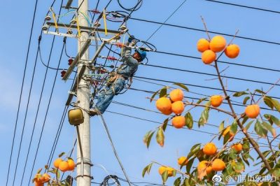 焦橋鎮(zhèn)史新村400伏農(nóng)網(wǎng)線路開(kāi)展升級(jí)改造