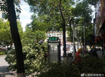 #向配網(wǎng)開戰(zhàn)#風景這邊獨好，砍青掃障