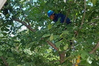 西安：清障消缺?！叭摹卑踩秒? title=