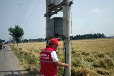 保供電#喜看稻菽千重浪，電力小哥巡視忙 “安全豐收”