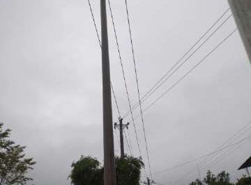 暴雨致電桿歪斜，供電員工搶修扶正