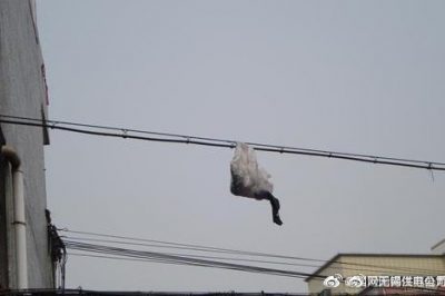 你的隨手一“拋”，可能導(dǎo)致跳閘停電！