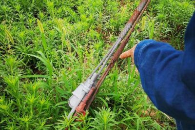 重點(diǎn)檢查防撞標(biāo)識(shí)、接點(diǎn)測溫、螺栓及拉線松動(dòng)