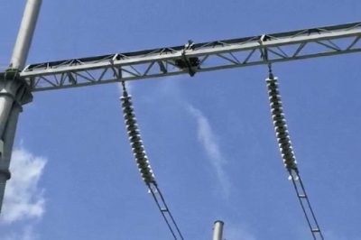 變電設(shè)備上有鳥(niǎo)巢，咋整？