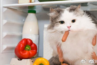 電冰箱省電良方，走過路過別錯過??！