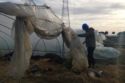 直流500千伏龍政線開(kāi)展防異物特巡